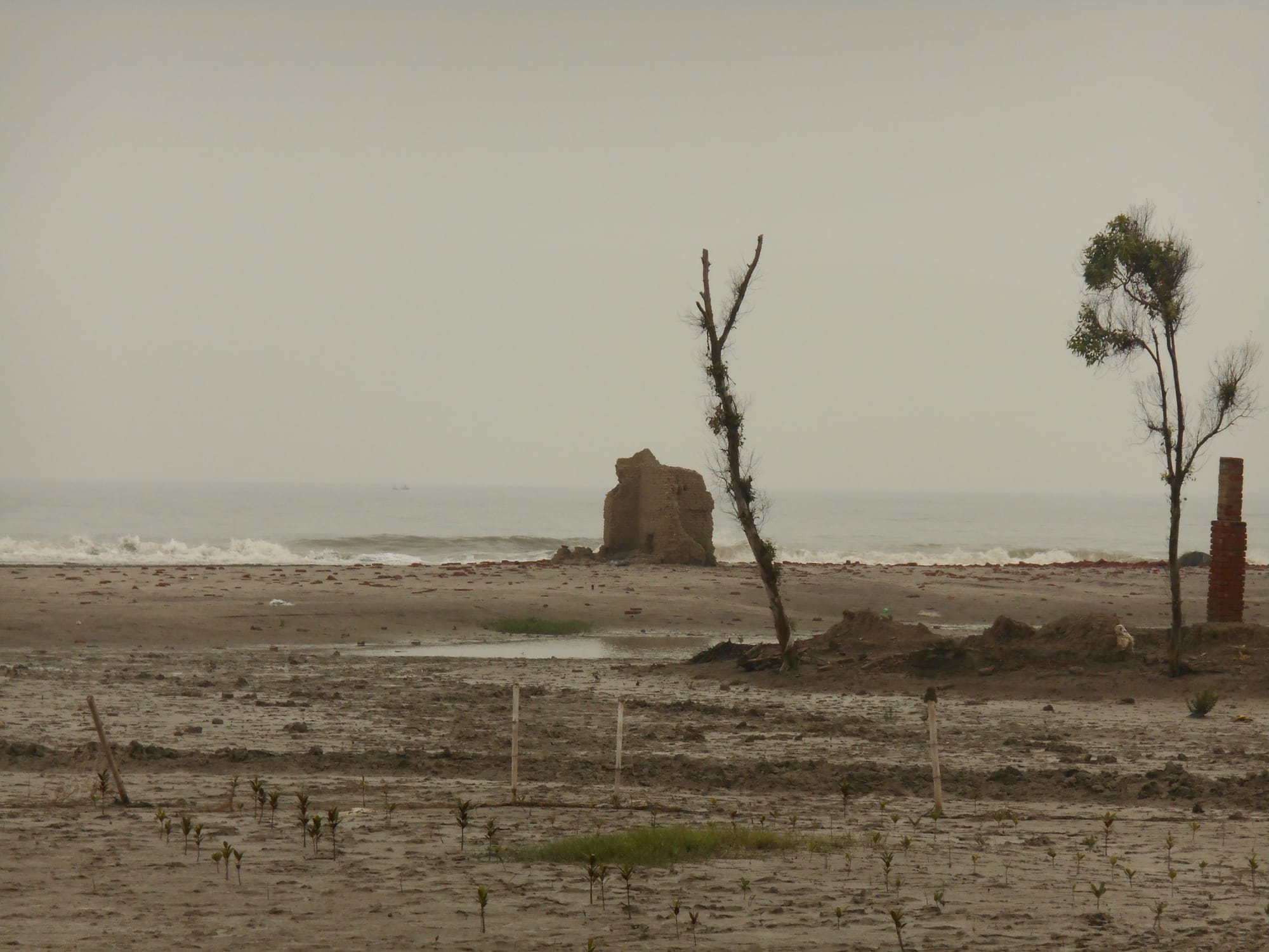 Reimaging Indian Sundarbans 1