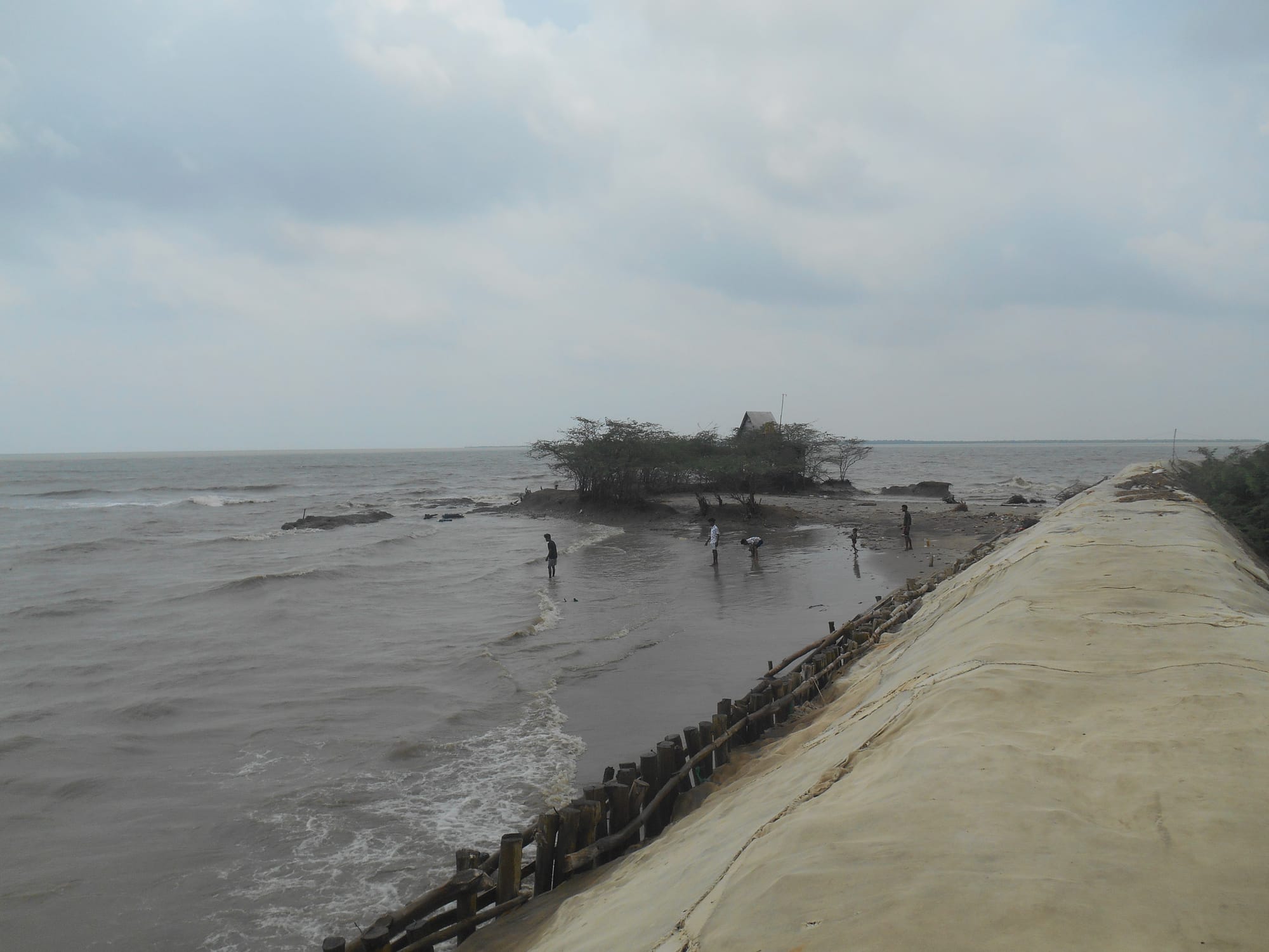 Reimaging Indian Sundarbans 8