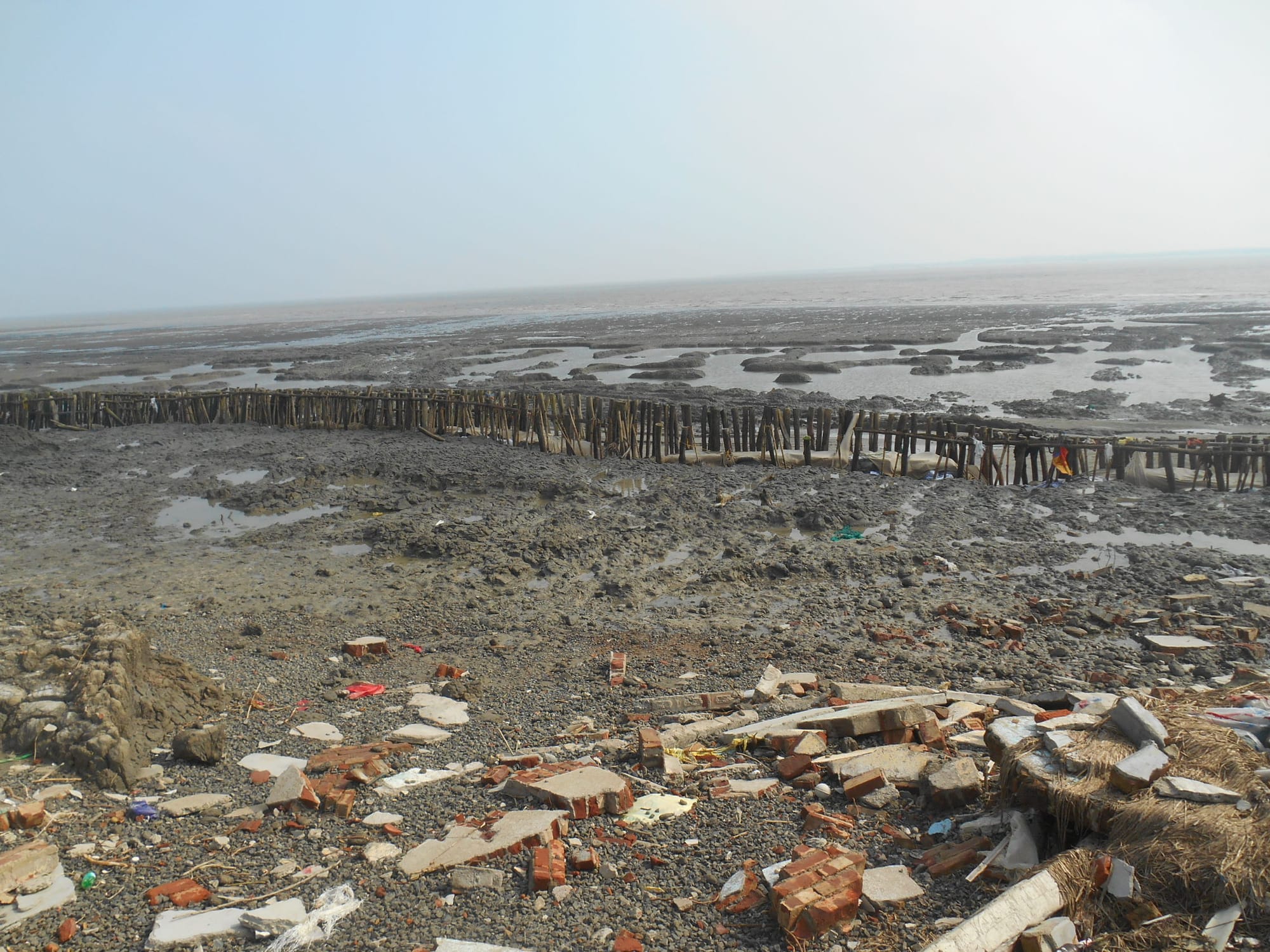 Reimaging Indian Sundarbans 6