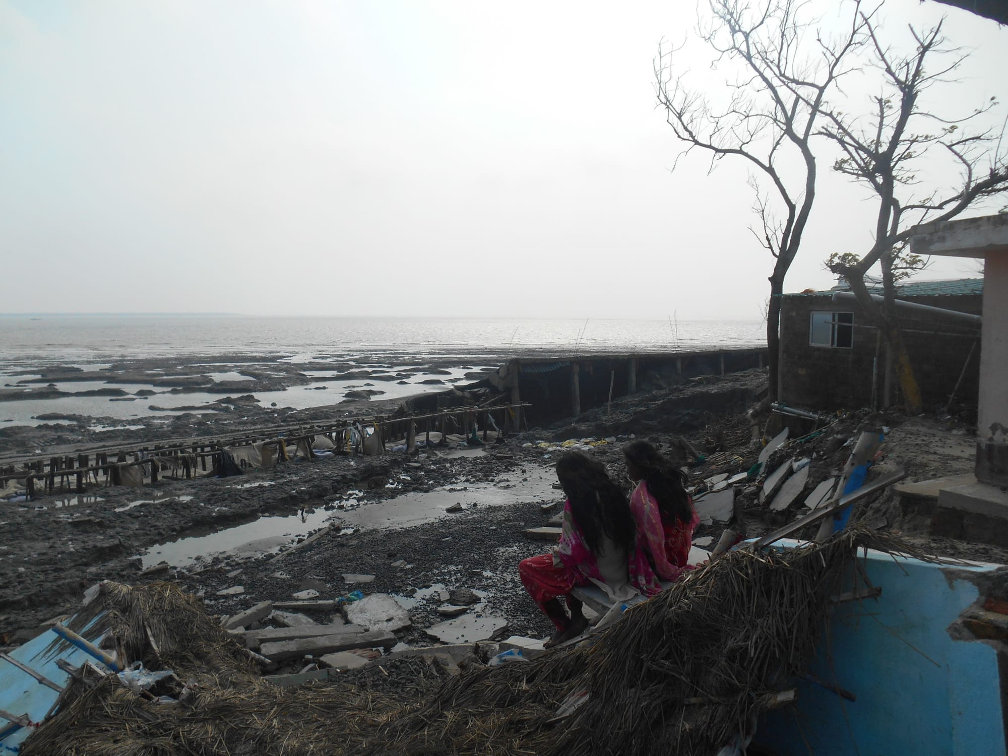 Reimaging Indian Sundarbans 4